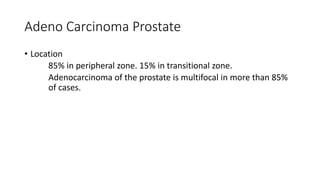 Adeno Carcinoma Prostate
• Location
85% in peripheral zone. 15% in transitional zone.
Adenocarcinoma of the prostate is multifocal in more than 85%
of cases.
 