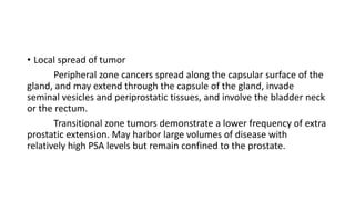 • Local spread of tumor
Peripheral zone cancers spread along the capsular surface of the
gland, and may extend through the capsule of the gland, invade
seminal vesicles and periprostatic tissues, and involve the bladder neck
or the rectum.
Transitional zone tumors demonstrate a lower frequency of extra
prostatic extension. May harbor large volumes of disease with
relatively high PSA levels but remain confined to the prostate.
 