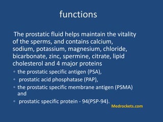 The prostatic fluid helps maintain the vitality
of the sperms, and contains calcium,
sodium, potassium, magnesium, chloride,
bicarbonate, zinc, spermine, citrate, lipid
cholesterol and 4 major proteins
◦ the prostatic specific antigen {PSA),
◦ prostatic acid phosphatase (PAP),
◦ the prostatic specific membrane antigen (PSMA)
and
◦ prostatic specific protein - 94(PSP-94).
functions
Medrockets.com
 