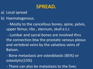 a) Local spread
b) Haematogenous.
- Mostly to the cancellous bones, spine, pelvis,
upper femur, ribs , sternum, skull e.t.c
- Lumbar and sacral bones are involved thru
the connection btw the prostatic venous plexus
and vertebral veins by the valveless veins of
Batson.
- Bone metastasis are osteoblastic (85%) or
osteolytic(15%)
- There can also be matastasis to the liver,
SPREAD.
 