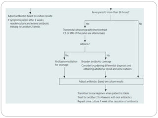 Prostatic Abscess Algorithm Prostatitis | PPTX