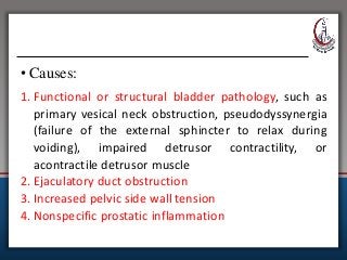 • Causes:
1. Functional or structural bladder pathology, such as
primary vesical neck obstruction, pseudodyssynergia
(failure of the external sphincter to relax during
voiding), impaired detrusor contractility, or
acontractile detrusor muscle
2. Ejaculatory duct obstruction
3. Increased pelvic side wall tension
4. Nonspecific prostatic inflammation
 