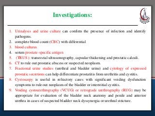 Investigations:
1. Urinalysis and urine culture can confirm the presence of infection and identify
pathogens.
2. complete blood count (CBC) with differential
3. blood cultures
4. serum prostate-specific antigen
5. (TRUS ): transrectal ultrasonography, capsular thickening and prostatic calculi.
6. CT to rule out prostatic abscess or suspected neoplasm.
7. Fractional urine studies (urethral and bladder urine) and cytology of expressed
prostatic secretions can help differentiate prostatitis from urethritis and cystitis.
8. Cystoscopy is useful in refractory cases with significant voiding dysfunction
symptoms to rule out neoplasm of the bladder or interstitial cystitis.
9. Voiding cystourethrography (VCUG) or retrograde urethrography (RUG) may be
appropriate for evaluation of the bladder neck anatomy and penile and anterior
urethra in cases of suspected bladder neck dyssynergia or urethral stricture.
 