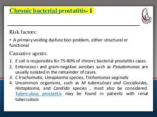 Chronic bacterial prostatitis- 1
Risk factors:
• A primary voiding dysfunction problem, either structural or
functional
Causative agents:
1. E coli is responsible for 75-80% of chronic bacterial prostatitis cases.
2. Enterococci and gram-negative aerobes such as Pseudomonas are
usually isolated in the remainder of cases.
3. C trachomatis, Ureaplasma species, Trichomonas vaginalis
4. Uncommon organisms, such as M tuberculosis and Coccidioides,
Histoplasma, and Candida species , must also be considered.
Tuberculous prostatitis may be found in patients with renal
tuberculosis
 