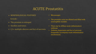 • Microscopic:
• The prostatic acini are dilated and filled with
neutrophilic exudate.
• There my be diffuse acute inflammatory
infiltrate
• Oedema, hyperemia and foci of necrosis
frequently accompany acute inflammatory
involvement.
 