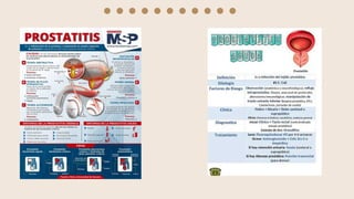 Comprehensive Overview of Acute Prostatitis: Diagnosis and Treatment | PDF