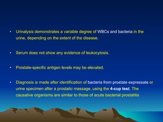 Urinalysis demonstrates a variable degree of  WBCs and bacteria  in the urine, depending on the extent of the disease. Serum does not show any evidence of leukocytosis. Prostate-specific antigen levels may be elevated. Diagnosis is made after identification of  bacteria from prostate expressate  or urine specimen after a prostatic massage, using the  4-cup test . The causative organisms are similar to those of acute bacterial prostatitis  