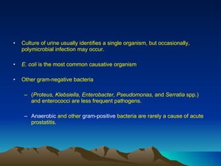 Culture of urine usually identifies a single organism, but occasionally, polymicrobial infection may occur.  E. coli  is the most common causative organism  Other gram-negative bacteria  ( Proteus, Klebsiella, Enterobacter, Pseudomonas,  and  Serratia  spp.) and enterococci are less frequent pathogens.  Anaerobic  and other  gram-positive  bacteria are rarely a cause of acute prostatitis. 