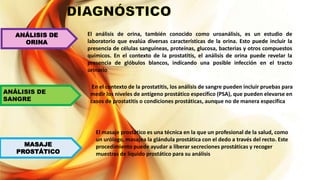 ANÁLISIS DE
ORINA
ANÁLISIS DE
SANGRE
MASAJE
PROSTÁTICO
El análisis de orina, también conocido como uroanálisis, es un estudio de
laboratorio que evalúa diversas características de la orina. Esto puede incluir la
presencia de células sanguíneas, proteínas, glucosa, bacterias y otros compuestos
químicos. En el contexto de la prostatitis, el análisis de orina puede revelar la
presencia de glóbulos blancos, indicando una posible infección en el tracto
urinario.
En el contexto de la prostatitis, los análisis de sangre pueden incluir pruebas para
medir los niveles de antígeno prostático específico (PSA), que pueden elevarse en
casos de prostatitis o condiciones prostáticas, aunque no de manera específica
El masaje prostático es una técnica en la que un profesional de la salud, como
un urólogo, masajea la glándula prostática con el dedo a través del recto. Este
procedimiento puede ayudar a liberar secreciones prostáticas y recoger
muestras de líquido prostático para su análisis
 