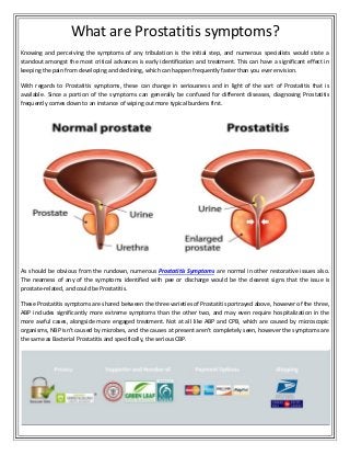 What are Prostatitis symptoms?
Knowing and perceiving the symptoms of any tribulation is the initial step, and numerous specialists would state a
standout amongst the most critical advances is early identification and treatment. This can have a significant effect in
keeping the pain from developing and declining, which can happen frequently faster than you ever envision.
With regards to Prostatitis symptoms, these can change in seriousness and in light of the sort of Prostatitis that is
available. Since a portion of the symptoms can generally be confused for different diseases, diagnosing Prostatitis
frequently comes down to an instance of wiping out more typical burdens first.
As should be obvious from the rundown, numerous Prostatitis Symptoms are normal in other restorative issues also.
The nearness of any of the symptoms identified with pee or discharge would be the clearest signs that the issue is
prostate-related, and could be Prostatitis.
These Prostatitis symptoms are shared between the three varieties of Prostatitis portrayed above, however of the three,
ABP includes significantly more extreme symptoms than the other two, and may even require hospitalization in the
more awful cases, alongside more engaged treatment. Not at all like ABP and CPB, which are caused by microscopic
organisms, NBP isn't caused by microbes, and the causes at present aren't completely seen, however the symptoms are
the same as Bacterial Prostatitis and specifically, the serious CBP.
 