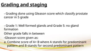 Prostate Grade Prostatitis, Tumors of Prostate.pptx. pw | PPTX