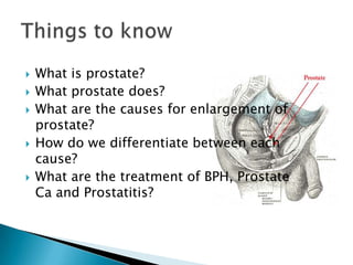    What is prostate?
   What prostate does?
   What are the causes for enlargement of
    prostate?
   How do we differentiate between each
    cause?
   What are the treatment of BPH, Prostate
    Ca and Prostatitis?
 