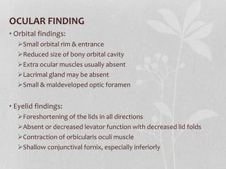 OCULAR FINDING
• Orbital findings:
Small orbital rim & entrance
Reduced size of bony orbital cavity
Extra ocular muscles usually absent
Lacrimal gland may be absent
Small & maldeveloped optic foramen
• Eyelid findings:
Foreshortening of the lids in all directions
Absent or decreased levator function with decreased lid folds
Contraction of orbicularis oculi muscle
Shallow conjunctival fornix, especially inferiorly
 