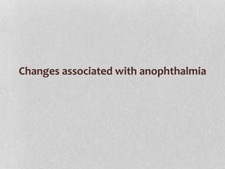 Changes associated with anophthalmia
 