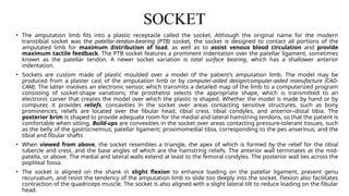 Ptb Socket Design PROSTHESIS - PHYSIOTHERAPY REHABILITATION | PPTX