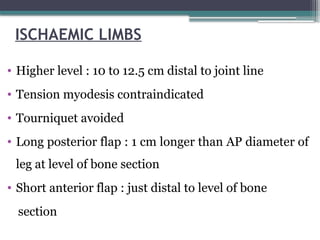 ISCHAEMIC LIMBS
• Higher level : 10 to 12.5 cm distal to joint line
• Tension myodesis contraindicated
• Tourniquet avoided
• Long posterior flap : 1 cm longer than AP diameter of
leg at level of bone section
• Short anterior flap : just distal to level of bone
section
 