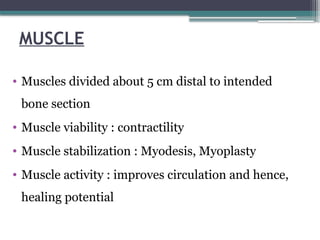 MUSCLE
• Muscles divided about 5 cm distal to intended
bone section
• Muscle viability : contractility
• Muscle stabilization : Myodesis, Myoplasty
• Muscle activity : improves circulation and hence,
healing potential
 