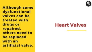 Although some
dysfunctional
valves can be
treated with
drugs or
repaired,
others need to
be replaced
with an
artificial valve.
Heart Valves
 