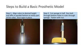 Steps to Build a Basic Prosthetic Model
Step 1: Align rulers to desired height
and affix in parallel fashion to sticky part
of lint roller. Duct tape in place.
Step 2: Cut sponge in half. Run bolt
through bottom holes in ruler through
sponge. Fasten with nut.
 