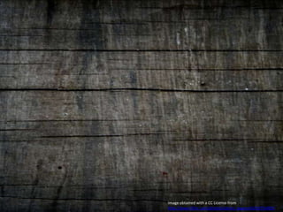 Image obtained with a CC License from http://www.flickr.com/photos/natura_pagana/4250756499/