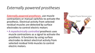 Externally powered prostheses
Externally powered prostheses use muscle
contractions or manual switches to activate the
prosthesis. Electrical activity from selected
residual muscles are detected by surface
electrodes to control electric motors
• A myoelectrically controlled prosthesis uses
muscle contractions as a signal to activate the
prosthesis. It functions by using surface
electrodes to detect electrical activity from
selected residual limb muscles to control
electric motors.
 
