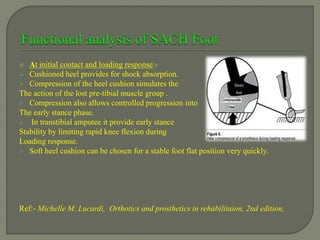  At initial contact and loading response:-
 Cushioned heel provides for shock absorption.
 Compression of the heel cushion simulates the
The action of the lost pre-tibial muscle group .
 Compression also allows controlled progression into
The early stance phase.
 In transtibial amputee it provide early stance
Stability by limiting rapid knee flexion during
Loading response.
 Soft heel cushion can be chosen for a stable foot flat position very quickly.
Ref:- Michelle M. Lucardi, Orthotics and prosthetics in rehabilitaion, 2nd edition,
 