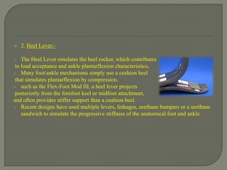  2. Heel Lever:-
 The Heel Lever emulates the heel rocker, which contributes
to load acceptance and ankle plantarflexion characteristics.
 Many foot/ankle mechanisms simply use a cushion heel
that simulates plantarflexion by compression.
 such as the Flex-Foot Mod III, a heel lever projects
posteriorly from the forefoot keel or midfoot attachment,
and often provides stiffer support than a cushion heel.
 Recent designs have used multiple levers, linkages, urethane bumpers or a urethane
sandwich to simulate the progressive stiffness of the anatomical foot and ankle
 