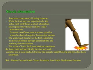  Important component of loading response.
 While the foot plays an important role, the
entire limb contributes to shock absorption.
 Stance phase knee flexion follows ankle
plantarflexion.
 Eccentric dorsiflexor muscle action provides
muscular shock absorption during ankle motion.
 The anatomical structure of the foot contributes
to shock absorption through tarsal mobility and
various joint articulations.
 The series of lower limb joint motions transforms
the lower limb and specifically the foot and ankle
complex into a loose packed structure that accepts weight bearing and provides shock
absorption.
Ref:- Human Foot and Ankle Versus Prosthetic Foot/Ankle Mechanism Function
 