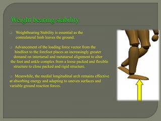  Weightbearing Stability is essential as the
contralateral limb leaves the ground.
 Advancement of the loading force vector from the
hindfoot to the forefoot places an increasingly greater
demand on intertarsal and metatarsal alignment to alter
the foot and ankle complex from a loose packed and flexible
structure to close packed and rigid structure.
 Meanwhile, the medial longitudinal arch remains effective
at absorbing energy and adapting to uneven surfaces and
variable ground reaction forces.
 