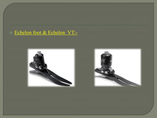 Echelon foot & Echelon VT:-
 