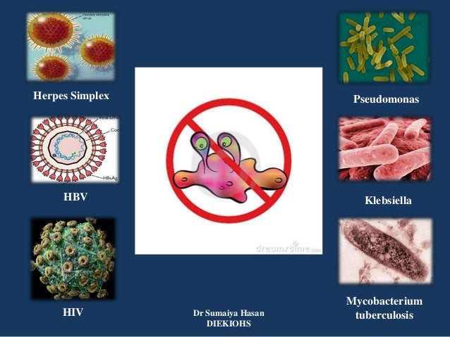 Cross Infection Control In Dentistry Few Basic Points 