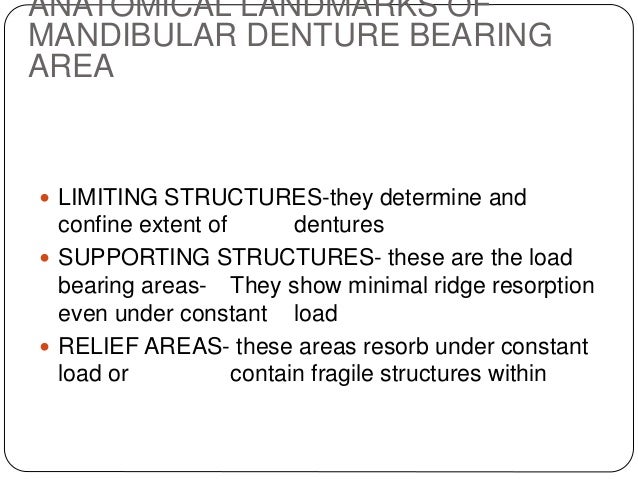 mandibular anatomical landmarks