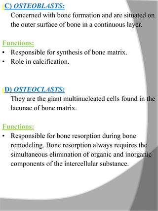 (C) OSTEOBLASTS:
Concerned with bone formation and are situated on
the outer surface of bone in a continuous layer.
Functions:
• Responsible for synthesis of bone matrix.
• Role in calcification.
(D) OSTEOCLASTS:
They are the giant multinucleated cells found in the
lacunae of bone matrix.
Functions:
• Responsible for bone resorption during bone
remodeling. Bone resorption always requires the
simultaneous elimination of organic and inorganic
components of the intercellular substance.
 