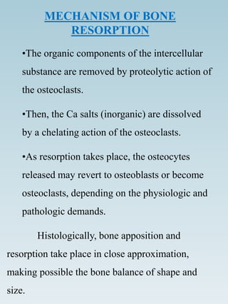 MECHANISM OF BONE
RESORPTION
•The organic components of the intercellular
substance are removed by proteolytic action of
the osteoclasts.
•Then, the Ca salts (inorganic) are dissolved
by a chelating action of the osteoclasts.
•As resorption takes place, the osteocytes
released may revert to osteoblasts or become
osteoclasts, depending on the physiologic and
pathologic demands.
Histologically, bone apposition and
resorption take place in close approximation,
making possible the bone balance of shape and
size.
 