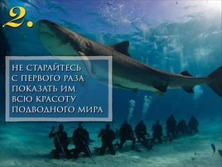 2.
не старайтесь
с первого раза
показать им
всю красоту
подводного мира

 