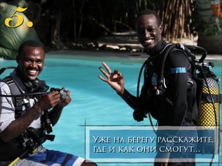 5.

Уже на берегу расскажите,
где и как они смогут…

 