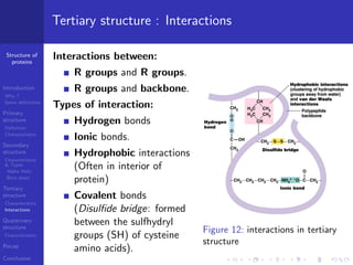 Introduction to protein structure | PDF