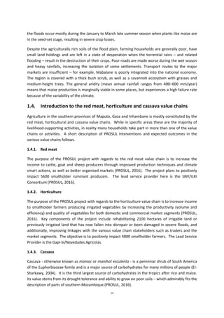 14
the floods occur mostly during the January to March late summer season when plants like maize are
in the seed-set stage, resulting in severe crop losses.
Despite the agriculturally rich soils of the flood plain, farming households are generally poor, have
small land holdings and are left in a state of desperation when the torrential rains – and related
flooding – result in the destruction of their crops. Poor roads are made worse during the wet season
and heavy rainfalls, increasing the isolation of some settlements. Transport routes to the major
markets are insufficient – for example, Mabalane is poorly integrated into the national economy.
The region is covered with a thick bush scrub, as well as a savannah ecosystem with grasses and
medium-height trees. The general aridity (mean annual rainfall ranges from 400–600 mm/year)
means that maize production is marginally viable in some places, but experiences a high failure rate
because of the variability of the climate.
1.4. Introduction to the red meat, horticulture and cassava value chains
Agriculture in the southern provinces of Maputo, Gaza and Inhambane is mostly constituted by the
red meat, horticultural and cassava value chains. While in specific areas these are the majority of
livelihood-supporting activities, in reality many households take part in more than one of the value
chains or activities. A short description of PROSUL interventions and expected outcomes in the
various value chains follows.
1.4.1. Red meat
The purpose of the PROSUL project with regards to the red meat value chain is to increase the
income to cattle, goat and sheep producers through improved production techniques and climate
smart actions, as well as better organised markets (PROSUL, 2016). The project plans to positively
impact 5600 smallholder ruminant producers. The lead service provider here is the SNV/ILRI
Consortium (PROSUL, 2016).
1.4.2. Horticulture
The purpose of the PROSUL project with regards to the horticulture value chain is to increase income
to smallholder farmers producing irrigated vegetables by increasing the productivity (volume and
efficiency) and quality of vegetables for both domestic and commercial market segments (PROSUL,
2016). Key components of the project include rehabilitating 2100 hectares of irrigable land or
previously irrigated land that has now fallen into disrepair or been damaged in severe floods, and
additionally, improving linkages with the various value chain stakeholders such as traders and the
market segments. The objective is to positively impact 4800 smallholder farmers. The Lead Service
Provider is the Gapi-SI/Novedades Agricolas.
1.4.3. Cassava
Cassava - otherwise known as manioc or manihot esculenta - is a perennial shrub of South America
of the Euphorbiaceae family and is a major source of carbohydrates for many millions of people (El-
Sharkawy, 2004). It is the third largest source of carbohydrates in the tropics after rice and maize.
Its value stems from its drought tolerance and ability to grow on poor soils – which admirably fits the
description of parts of southern Mozambique (PROSUL, 2016).
 