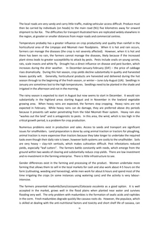 36
The local roads are very sandy and carry little traffic, making vehicular access difficult. Produce must
then be carried by individuals (on heads) to the main road (N1) five kilometres away for onward
shipment to Xai Xai. The difficulties for transport illustrated here are replicated widely elsewhere in
the region, at greater or smaller distances from major roads and commercial centres.
Temperature probably has a greater influence on crop productivity and quality than rainfall in the
horticultural area of the Limpopo and Nkomati river floodplains. When it is hot and rain occurs,
farmers can manage the diseases (the crop is not severely affected). However, when it is hot and
there has been no rain, the farmers cannot manage the diseases, likely because if the increased
plant stress leads to greater susceptibility to attack by pests. Pests include snails on young carrots,
rats, scale insects and white fly. Drought has a direct influence on disease and pest burden, which
increases during the drier weather. In December-January-February (DJF) – the price of cabbage
rises dramatically. During this hot season, crop yields decline substantially in quality and harvested
leaves quickly wilt. Generally, horticultural products are harvested and delivered during the hot
season through to the beginning of the fresh season, or winter – June-July-August (JJA). Seedlings in
January are sometimes lost to the high temperatures. Seedlings need to be planted in the shade and
irrigated in the afternoon and not in the morning.
The rainy season is expected to start in August but now seems to start in December. It would rain
substantially in the highland areas starting August and in November in the lowland vegetable
growing area. When heavy rains are expected, the farmers stop cropping. Heavy rains are not
expected in February. While heavy rains can do damage, they are preferred above dry periods
because it prevents salt water penetrating from the tidal Nkomati River system. Heavy rain also
“washes out the land” and is antagonistic to pests. In this area, the wind, which is too high in the
critical growth period, is a problem for crop production.
Numerous problems exist in production and sales. Access to seeds and transport are significant
issues for smallholders. Land preparation is done by using animal traction or tractors for ploughing,
animal traction is more expensive than tractors because they take longer to undertake the required
tasks even though their daily rate is lower, however both systems are costly to the smallholder. Soils
are very heavy – clay-rich vertisols, which makes cultivation difficult. Pest infestations reduced
yields, especially “leaf cutters”. The farmers battle constantly with reeds, which emerge from the
ground within two weeks of clearing and substantially reduce crop yields. There are low investment
and re-investment in the farming enterprise. There is little infrastructure to see.
Gender differences exist in the farming and processing of the product. Women undertake more
farming that allows them to sell in the local markets for cash and also work about 4-5 hours on the
farm (cultivating, weeding and harvesting), while men work for about 6 hours and spend most of the
time irrigating the crops (in some instances using watering cans) and the activity is very labour-
intensive.
The farmers presented madumbi/taro/cocoyams/Colocasia esculenta as a good option. It is well
accepted in the market, grows well in the flood plains when planted near water and survives
flooding very well. The only problem with madumbies is the formation of oxalic acids and raphides
in the corm. Fresh madumbies degrade quickly like cassava roots do. However, the populace, which
is skilled at dealing with the anti-nutritional factors and toxicity and short shelf life of cassava, can
 
