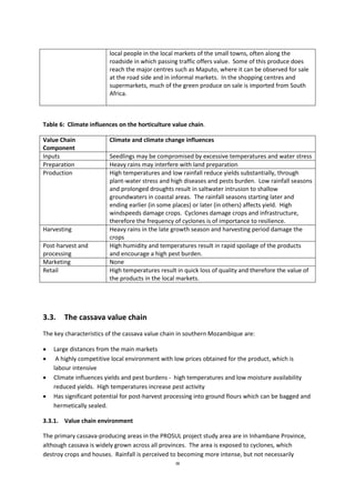 38
local people in the local markets of the small towns, often along the
roadside in which passing traffic offers value. Some of this produce does
reach the major centres such as Maputo, where it can be observed for sale
at the road side and in informal markets. In the shopping centres and
supermarkets, much of the green produce on sale is imported from South
Africa.
Table 6: Climate influences on the horticulture value chain.
Value Chain
Component
Climate and climate change influences
Inputs Seedlings may be compromised by excessive temperatures and water stress
Preparation Heavy rains may interfere with land preparation
Production High temperatures and low rainfall reduce yields substantially, through
plant-water stress and high diseases and pests burden. Low rainfall seasons
and prolonged droughts result in saltwater intrusion to shallow
groundwaters in coastal areas. The rainfall seasons starting later and
ending earlier (in some places) or later (in others) affects yield. High
windspeeds damage crops. Cyclones damage crops and infrastructure,
therefore the frequency of cyclones is of importance to resilience.
Harvesting Heavy rains in the late growth season and harvesting period damage the
crops
Post-harvest and
processing
High humidity and temperatures result in rapid spoilage of the products
and encourage a high pest burden.
Marketing None
Retail High temperatures result in quick loss of quality and therefore the value of
the products in the local markets.
3.3. The cassava value chain
The key characteristics of the cassava value chain in southern Mozambique are:
 Large distances from the main markets
 A highly competitive local environment with low prices obtained for the product, which is
labour intensive
 Climate influences yields and pest burdens - high temperatures and low moisture availability
reduced yields. High temperatures increase pest activity
 Has significant potential for post-harvest processing into ground flours which can be bagged and
hermetically sealed.
3.3.1. Value chain environment
The primary cassava-producing areas in the PROSUL project study area are in Inhambane Province,
although cassava is widely grown across all provinces. The area is exposed to cyclones, which
destroy crops and houses. Rainfall is perceived to becoming more intense, but not necessarily
 