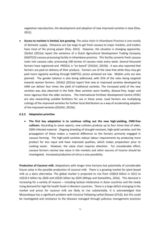 73
vegetative reproduction, the development and adoption of new improved varieties is slow (Dias,
2012).
 Access to markets is limited, but growing. The value chain in Inhambane Province is one mostly
of domestic supply. Distances are too large to get fresh cassava to major markets, and traders
have most of the pricing power (Dias, 2012). However, the situation is changing apparently.
2SCALE (2015a) report the existence of a Dutch Agricultural Development Trading Company
(DADTCO) cassava processing facility in Inhambane province. This facility converts fresh cassava
roots into cassava cake, processing 100 tonnes of cassava roots every week. Several thousand
farmers have registered and PROSUL is “on board” (2SCALE, 2015b). It was also reported that
farmers are paid on delivery of their produce. Farmers are of the view that while they may get
paid more regularly working through DADTCO, prices achieved are low. Mobile units are also
planned. The gender balance is also being addressed, with 25% of the sales being targeted
towards women farmers. 2SCALE (2015a) report that new or improved varieties developed by
IIAM can deliver four times the yield of traditional varieties. The increased yield of the new
varieties was also observed in the field. New varieties were healthy, disease-free, larger and
more vigorous than the older versions. The International Fertiliser Development Centre (IFDC)
are also researching suitable fertilisers for use in these areas. Lead farmers are multiplying
cuttings of the improved varieties for further local distribution as a way of accelerating adoption
of the improved varieties (2SCALE, 2015b).
6.3.2. Adaptation priorities
 The first key adaptation is to continue rolling out the new high-yielding, CMD-free
cultivars. According to some reports, new cultivars produce up to four times that of older,
CMD-infected material. Ongoing breeding of drought-resistant, high-yield varieties and the
propagation of these makes a material difference to the farmers primarily engaged in
cassava farming. The high-yield varieties reduce labour requirements by producing more
product for less input and have improved qualities, which makes preparation prior to
cooking easier. However, the value chain requires attention. For considerable effort,
cassava farmers receive low value in the markets and other sources of income should be
investigated. Increased production of citrus is one possibility.
Production of Coconut milk. Adaptations with longer time horizons but potentially of considerable
future value is the possible production of coconut milk. There is a growing market for plant-based
milk as a dairy alternative. The global market is projected to rise from US$8.8 billion in 2015 to
US$19.5 billion by 2020 and US$35 billion by 2024 (Whipp and Daneshkhu, 2016). This demand is
increasing for a variety of reasons – including lactose intolerance in Asian countries and the newly
rising demand for high-fat health foods in Western countries. There is a large deficit emerging in the
market and prices for coconut milk are likely to rise substantially. It is acknowledged that
Mozambique has a significant problem with Coconut Yellowing Lethal Disease (CYLD), but this could
be investigated and resistance to the diseases managed through judicious management practices
 