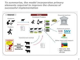 An affordable, accessible and profitable approach to cattle fattening in Mozambique