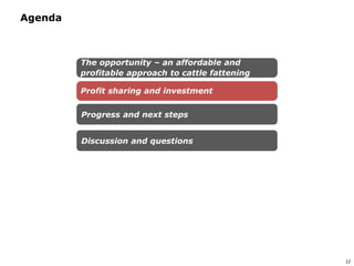 An affordable, accessible and profitable approach to cattle fattening in Mozambique
