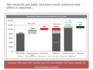 An affordable, accessible and profitable approach to cattle fattening in Mozambique
