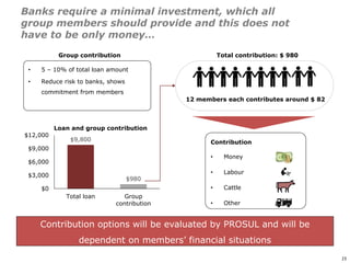 An affordable, accessible and profitable approach to cattle fattening in Mozambique