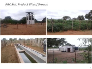 An affordable, accessible and profitable approach to cattle fattening in Mozambique