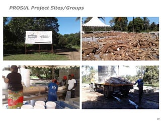 An affordable, accessible and profitable approach to cattle fattening in Mozambique