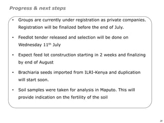 An affordable, accessible and profitable approach to cattle fattening in Mozambique