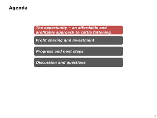 An affordable, accessible and profitable approach to cattle fattening in Mozambique