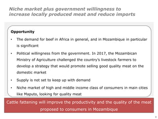 An affordable, accessible and profitable approach to cattle fattening in Mozambique